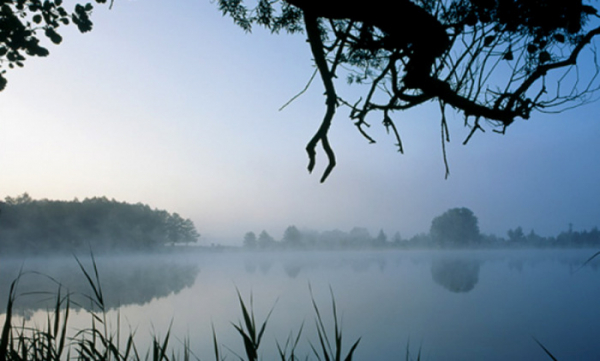 Stav rybníku Rosnička ve Svitavách se zlepšuje, celkový objem sedimentů se snížil o 40,33 %